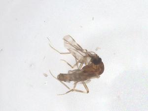  ( - CBG-B02351-E04)  @11 [ ] CreativeCommons - Attribution Share - Alike (2025) Centre for Biodiversity Genomics Centre for Biodiversity Genomics