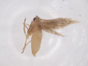  ( - CBG-B19465-E09)  @11 [ ] CreativeCommons - Attribution Share - Alike (2025) Centre for Biodiversity Genomics Centre for Biodiversity Genomics