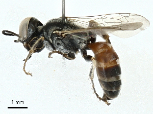  ( - BIOUG97734-H02)  @11 [ ] CreativeCommons - Attribution (2023) CBG Photography Group Centre for Biodiversity Genomics