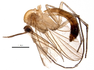  ( - BIOUG15744-F12)  @11 [ ] CreativeCommons - Attribution (2017) CBG Photography Group Centre for Biodiversity Genomics