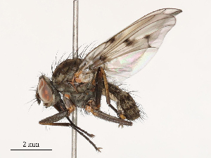  ( - CBG-B01644-A09)  @11 [ ] CreativeCommons - Attribution Share - Alike (2025) CBG Photography Group Centre for Biodiversity Genomics