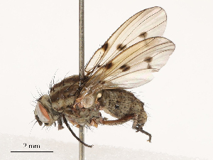  ( - CBG-B01645-E09)  @11 [ ] CreativeCommons - Attribution Share - Alike (2025) CBG Photography Group Centre for Biodiversity Genomics