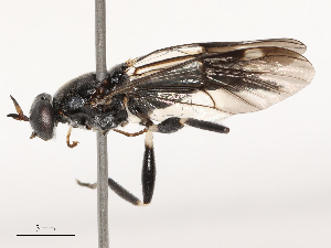  ( - CBG-B01664-C12)  @11 [ ] CreativeCommons - Attribution Share - Alike (2025) CBG Photography Group Centre for Biodiversity Genomics