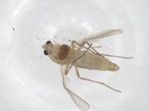  ( - CBG-B03534-F05)  @11 [ ] CreativeCommons - Attribution Share - Alike (2025) Centre for Biodiversity Genomics Centre for Biodiversity Genomics