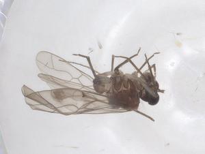  ( - CBG-B04592-F06)  @11 [ ] CreativeCommons - Attribution Share - Alike (2025) Centre for Biodiversity Genomics Centre for Biodiversity Genomics