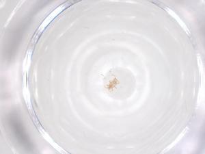  ( - CBG-B04670-E02)  @11 [ ] CreativeCommons - Attribution Share - Alike (2025) Centre for Biodiversity Genomics Centre for Biodiversity Genomics