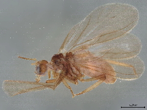  ( - BIOUG37425-E10)  @11 [ ] CreativeCommons - Attribution (2022) CBG Photography Group Centre for Biodiversity Genomics