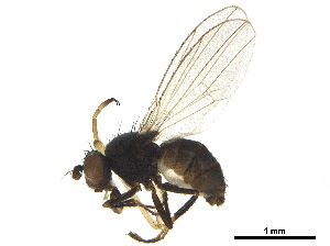  ( - BIOUG37647-E12)  @11 [ ] CreativeCommons - Attribution (2018) CBG Photography Group Centre for Biodiversity Genomics