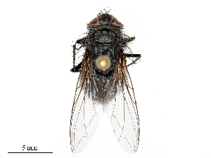 ( - CBG-B00076-G12)  @11 [ ] CreativeCommons - Attribution Share - Alike (2025) CBG Photography Group Centre for Biodiversity Genomics