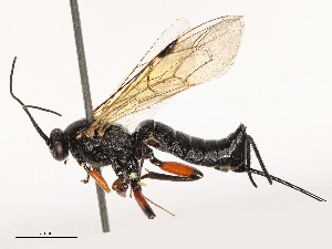  ( - CBG-B00089-C08)  @11 [ ] CreativeCommons - Attribution Share - Alike (2025) CBG Photography Group Centre for Biodiversity Genomics