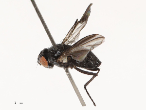  ( - CBG-B00089-H03)  @11 [ ] CreativeCommons - Attribution Share - Alike (2025) CBG Photography Group Centre for Biodiversity Genomics