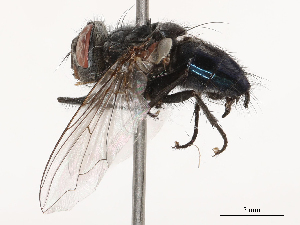  ( - CBG-B00090-E04)  @11 [ ] CreativeCommons - Attribution Share - Alike (2025) CBG Photography Group Centre for Biodiversity Genomics