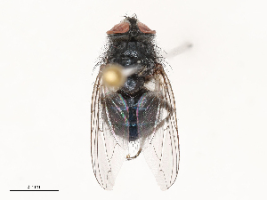  ( - CBG-B00090-E12)  @11 [ ] CreativeCommons - Attribution Share - Alike (2025) CBG Photography Group Centre for Biodiversity Genomics