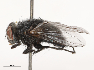  ( - CBG-B00090-F02)  @11 [ ] CreativeCommons - Attribution Share - Alike (2025) CBG Photography Group Centre for Biodiversity Genomics