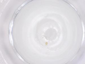  ( - CBG-B01298-E05)  @11 [ ] CreativeCommons - Attribution Share - Alike (2025) Centre for Biodiversity Genomics Centre for Biodiversity Genomics