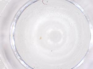  ( - CBG-B01336-F04)  @11 [ ] CreativeCommons - Attribution Share - Alike (2025) Centre for Biodiversity Genomics Centre for Biodiversity Genomics