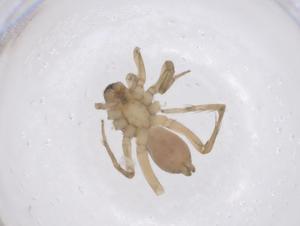  ( - CBG-B21039-C03)  @11 [ ] CreativeCommons - Attribution Share - Alike (2025) Centre for Biodiversity Genomics Centre for Biodiversity Genomics