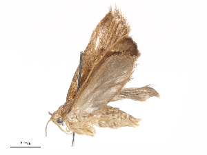  ( - CBG-B21311-C08)  @11 [ ] CreativeCommons - Attribution Share - Alike (2025) CBG Photography Group Centre for Biodiversity Genomics