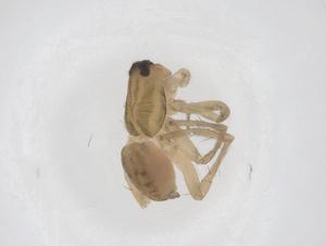  ( - CBG-B21319-B05)  @11 [ ] CreativeCommons - Attribution Share - Alike (2025) Centre for Biodiversity Genomics Centre for Biodiversity Genomics