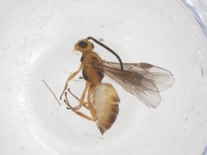  ( - CBG-B21392-D02)  @11 [ ] CreativeCommons - Attribution Share - Alike (2025) Centre for Biodiversity Genomics Centre for Biodiversity Genomics