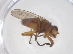  ( - CBG-B21431-G05)  @11 [ ] CreativeCommons - Attribution Share - Alike (2025) Centre for Biodiversity Genomics Centre for Biodiversity Genomics