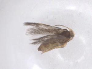  ( - CBG-B21436-F02)  @11 [ ] CreativeCommons - Attribution Share - Alike (2025) Centre for Biodiversity Genomics Centre for Biodiversity Genomics