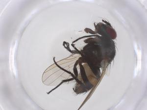  ( - CBG-B22151-B02)  @11 [ ] CreativeCommons - Attribution Share - Alike (2025) Centre for Biodiversity Genomics Centre for Biodiversity Genomics