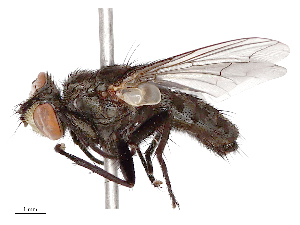  ( - CBG-B23321-A04)  @11 [ ] CreativeCommons - Attribution Share - Alike (2025) CBG Photography Group Centre for Biodiversity Genomics