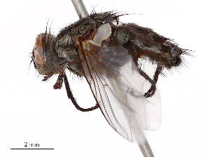  ( - CBG-B23321-A09)  @11 [ ] CreativeCommons - Attribution Share - Alike (2025) CBG Photography Group Centre for Biodiversity Genomics