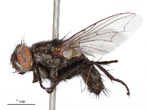  ( - CBG-B23321-A10)  @11 [ ] CreativeCommons - Attribution Share - Alike (2025) CBG Photography Group Centre for Biodiversity Genomics