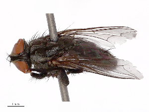  ( - CBG-B23321-B05)  @11 [ ] CreativeCommons - Attribution Share - Alike (2025) CBG Photography Group Centre for Biodiversity Genomics