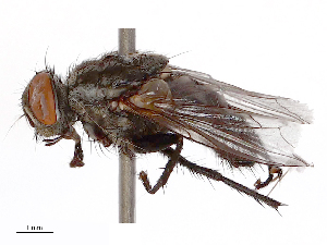  ( - CBG-B23321-B06)  @11 [ ] CreativeCommons - Attribution Share - Alike (2025) CBG Photography Group Centre for Biodiversity Genomics