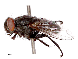  ( - CBG-B23321-B07)  @11 [ ] CreativeCommons - Attribution Share - Alike (2025) CBG Photography Group Centre for Biodiversity Genomics