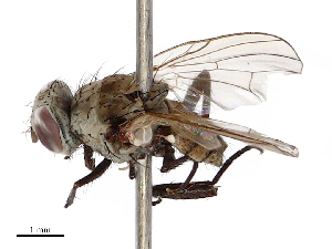  ( - CBG-B23321-E05)  @11 [ ] CreativeCommons - Attribution Share - Alike (2025) CBG Photography Group Centre for Biodiversity Genomics