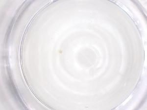  ( - CBG-B23354-H03)  @11 [ ] CreativeCommons - Attribution Share - Alike (2025) Centre for Biodiversity Genomics Centre for Biodiversity Genomics