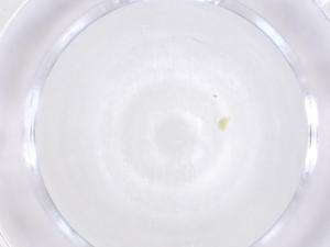  ( - CBG-B23364-B02)  @11 [ ] CreativeCommons - Attribution Share - Alike (2025) Centre for Biodiversity Genomics Centre for Biodiversity Genomics