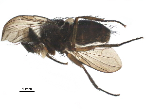  ( - BIOUG33282-C10)  @12 [ ] CreativeCommons - Attribution (2019) CBG Photography Group Centre for Biodiversity Genomics
