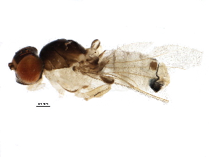  ( - BIOUG14415-C04)  @12 [ ] CreativeCommons - Attribution (2015) CBG Photography Group Centre for Biodiversity Genomics
