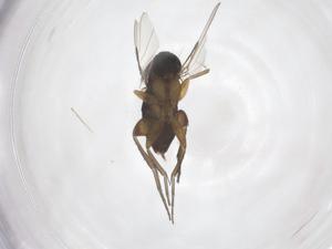  ( - CBG-A64314-H07)  @11 [ ] CreativeCommons - Attribution Share - Alike (2025) Centre for Biodiversity Genomics Centre for Biodiversity Genomics