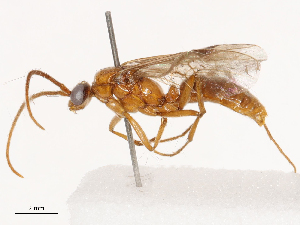  ( - CBG-B02342-F01)  @11 [ ] CreativeCommons - Attribution Share - Alike (2025) CBG Photography Group Centre for Biodiversity Genomics