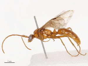  ( - CBG-B02342-F03)  @11 [ ] CreativeCommons - Attribution Share - Alike (2025) CBG Photography Group Centre for Biodiversity Genomics