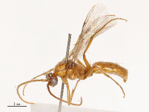  ( - CBG-B02342-F05)  @11 [ ] CreativeCommons - Attribution Share - Alike (2025) CBG Photography Group Centre for Biodiversity Genomics