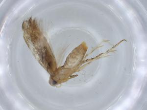  ( - BIOUG68224-B07)  @11 [ ] CreativeCommons - Attribution (2021) Centre for Biodiversity Genomics Centre for Biodiversity Genomics