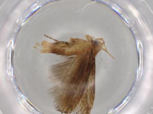  ( - BIOUG70033-C03)  @11 [ ] CreativeCommons - Attribution (2021) Centre for Biodiversity Genomics Centre for Biodiversity Genomics