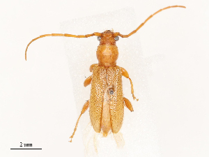  ( - CBG-B01514-G10)  @11 [ ] CreativeCommons - Attribution Share - Alike (2025) CBG Photography Group Centre for Biodiversity Genomics