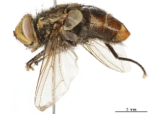 ( - BIOUG08352-E02)  @13 [ ] CreativeCommons - Attribution (2019) CBG Photography Group Centre for Biodiversity Genomics