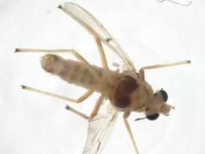  ( - CBG-A14359-H01)  @11 [ ] CreativeCommons - Attribution Share - Alike (2023) Centre for Biodiversity Genomics Centre for Biodiversity Genomics