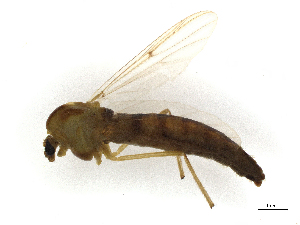  ( - CBG-A14969-H02)  @11 [ ] CreativeCommons - Attribution (2023) CBG Photography Group Centre for Biodiversity Genomics