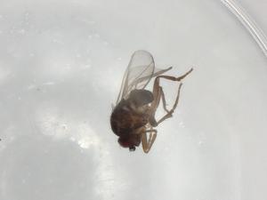  ( - BIOUG90874-A08)  @11 [ ] CreativeCommons - Attribution (2022) Centre for Biodiversity Genomics Centre for Biodiversity Genomics