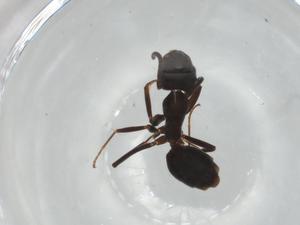  ( - BIOUG90905-E02)  @11 [ ] CreativeCommons - Attribution (2022) Centre for Biodiversity Genomics Centre for Biodiversity Genomics